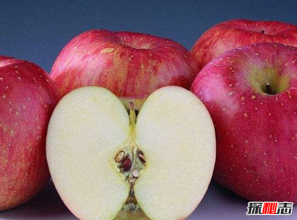 苹果产量最多的10大国家 美国位居第二,第一为之自豪