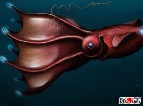海洋里的秘密?深海中十大最恐怖的生物