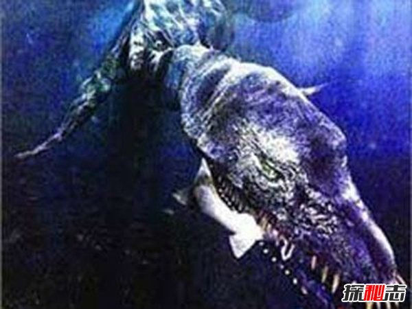 世界十大怪物之谜,真实存在的挪威海妖(攻击船只)