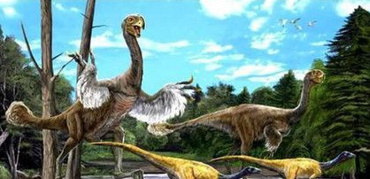 鸟类的祖先为什么是始祖鸟?鸟类是如何进化的?