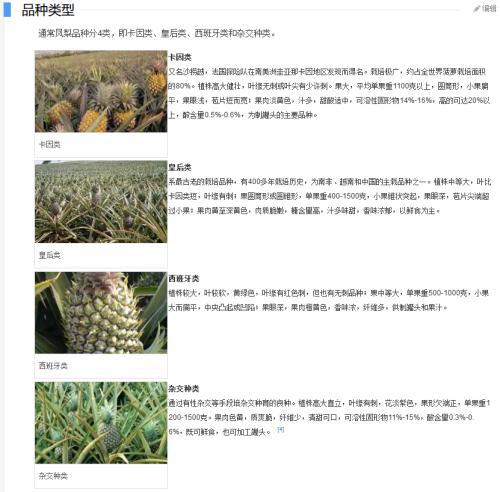 台湾名嘴被大陆菠萝产值惊到怎样回事？大陆菠萝产值是多少？